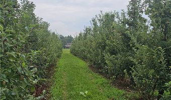 3120 Densmore Rd, Albion, NY 14411