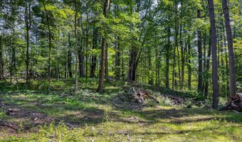 Great Hollow Road, Cornwall, CT 06753