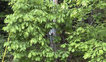 22 Monument Rd, Abbot, ME 04406