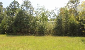 417 Lakepoint Rd, Alford, FL 32420