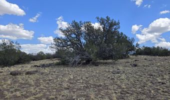 165 Off Old Hwy 66, Ash Fork, AZ 86320