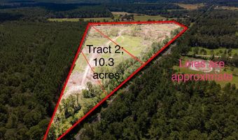 R53358 Tract 2 HWY 94, Apple Springs, TX 75926