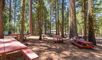403 Sierra Pkwy, Camp Connell, CA 95223