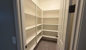 297 E KAIBAB Dr, Chandler, AZ 85249