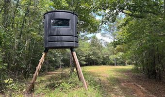 Pleasant Hill Road, Ashland, MS 38603