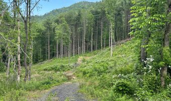 Pumpkin Patch Road, Bakersville, NC 28705