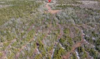 68 Tower Rd, Argyle Twp., ME 04468