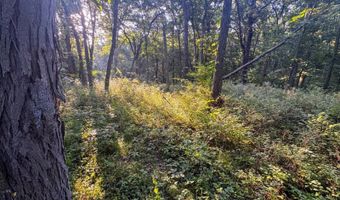 625 Th Ave, Albia, IA 52531