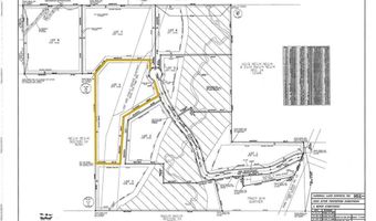 374 High River Ct Lot 4, Alma, CO 80420