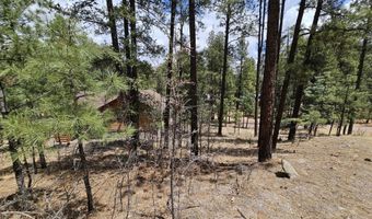 15 County Road 2065, Alpine, AZ 85920