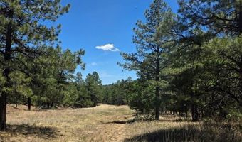 17775 County Road 51, Boncarbo, CO 81024