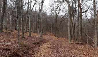 Route 12 Road, Alum Creek, WV 25003