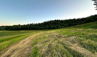 TBD Bear Pen Rd, Arkansaw, WI 54721