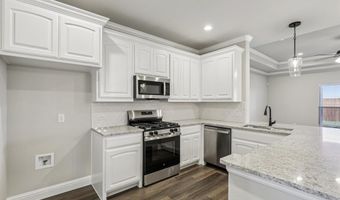 1037 Nighthawk Trl, Alvarado, TX 76009