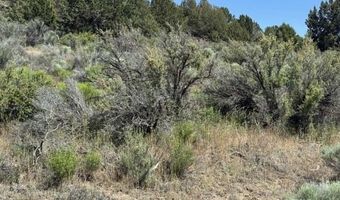 Medicine Mountain Drive, Beatty, OR 97621
