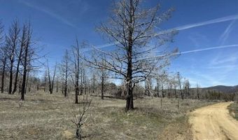 31763 Godowa Springs Rd, Beatty, OR 97621