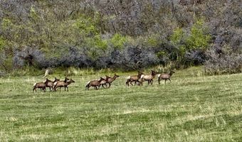 15098 CR 240, Bayfield, CO 81122