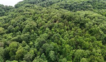5 Lots Fortunato Dr, Baneberry, TN 37890