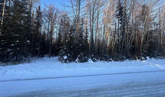 19396 N Fish Lake Rd, Chickaloon, AK 99674