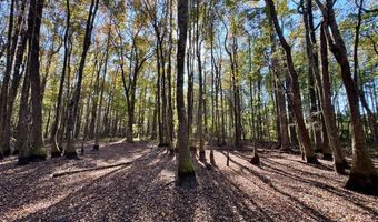 TBD Binnicker Bridge Road, Bamberg, SC 29003