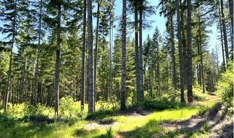 Tunnel Tract Parcel2, Banks, OR 97106