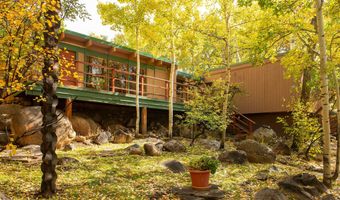 209 E Reds Rd Guest House, Aspen, CO 81611