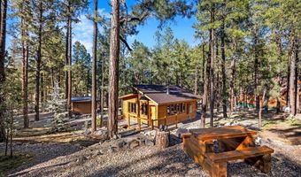 24 County Rd 2267, Alpine, AZ 85920