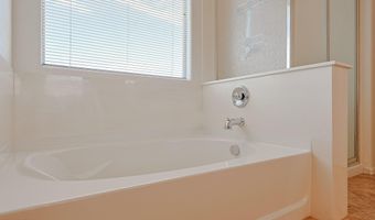 30205 W FLOWER St, Buckeye, AZ 85396