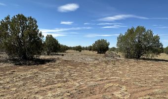 3160 W Mesa Dr, Ash Fork, AZ 86046