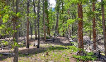 2221 Kootchie Kootchie Rd Lot 0, Alma, CO 80420