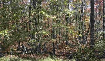 SPRINGHOLLOW ROAD lot 11, Ashville, AL 35953