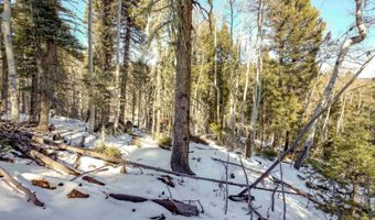 45 Sacramento Dr, Angel Fire, NM 87710
