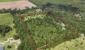 3749 SW 22nd Pl, Bell, FL 32619