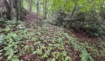 Tbd Clubhouse Drive, Banner Elk, NC 28604