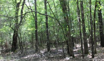 TBD CR 4670, De Kalb, TX 75559