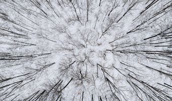 7438 AFTON Rd, Afton, MI 49705