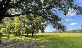 Lot 5b Rains County Road 2420, Alba, TX 75410