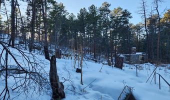 8708 Pine Dr, Beulah, CO 81023