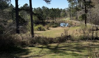 442 Fox Run Rd, Adrian, GA 31002
