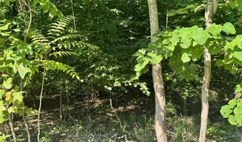 617 N North Pointe Trl, Allons, TN 38541