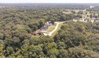 100 101 Sheffield Pl, Alton, IL 62002