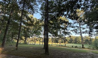 2925 Bakers Chapel Church Rd, Big Sandy, TN 38221