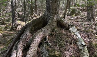 Route 9 lot 13, Aurora, ME 04428