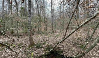 34655 Co Rd 49, Beaverton, AL 35544