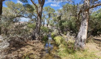 806 Camp Station Dr Plan: The Crimson, Dayton, NV 89403