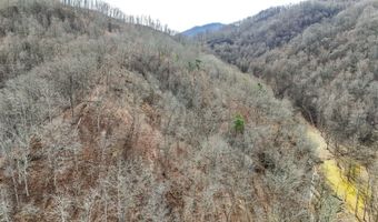 9999 Honeycutt Branch Turkey Crk, Barbourville, KY 40906