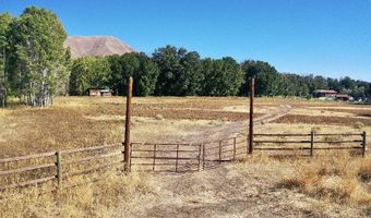 113 117 Lower Broadford Rd, Bellevue, ID 83313