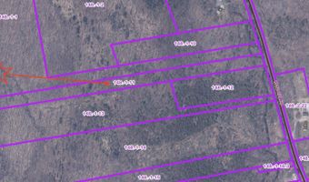 Rand Hill Road, Altona, NY 12910