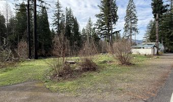 54480 McKenzie River Dr, Blue River, OR 97413