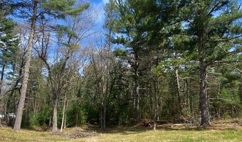 E 17th Lane lot 57, Arkdale, WI 54613